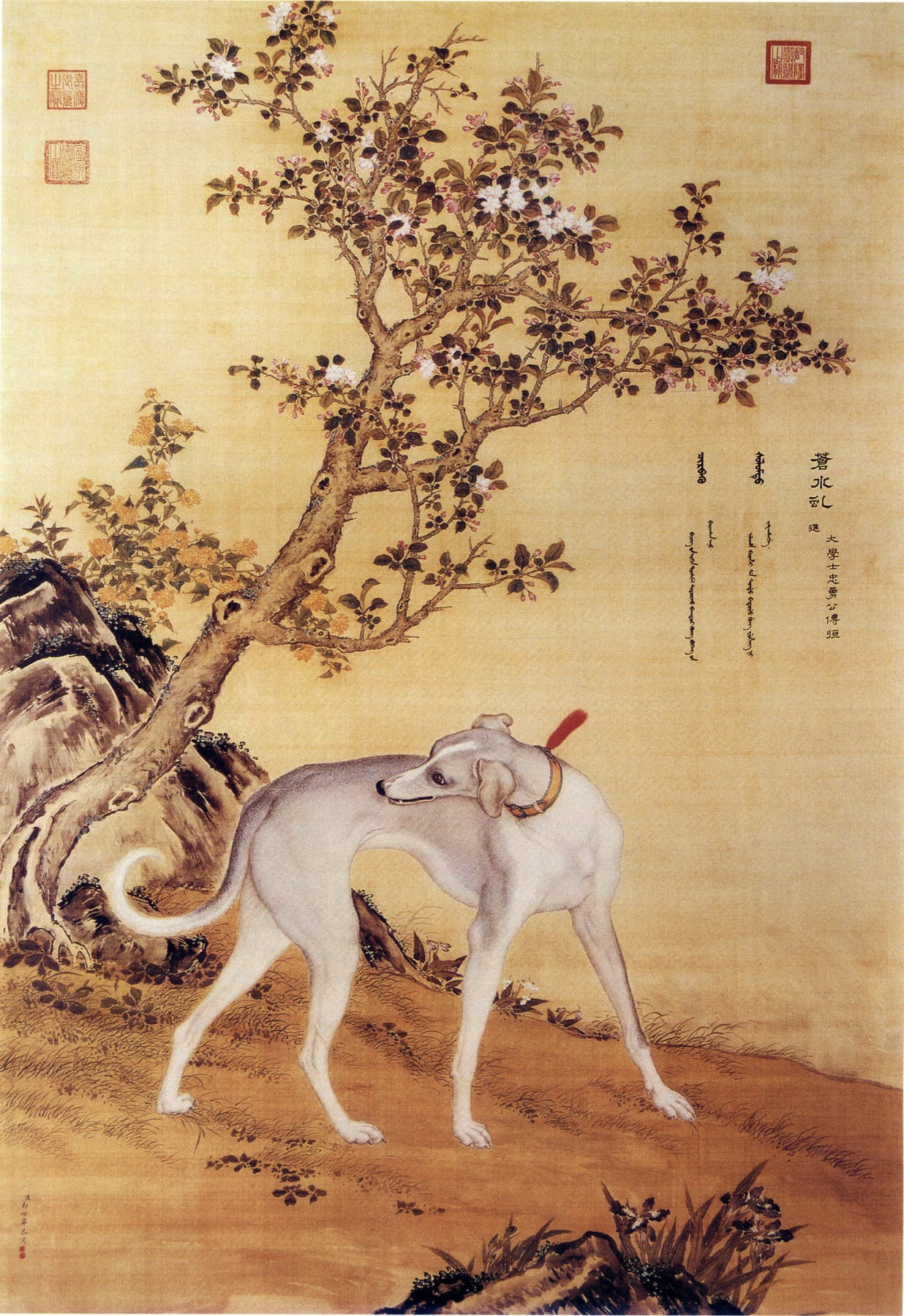 Qing dynasty portrait of the pale tribute hound Cangshuiqiu under a flowering tree