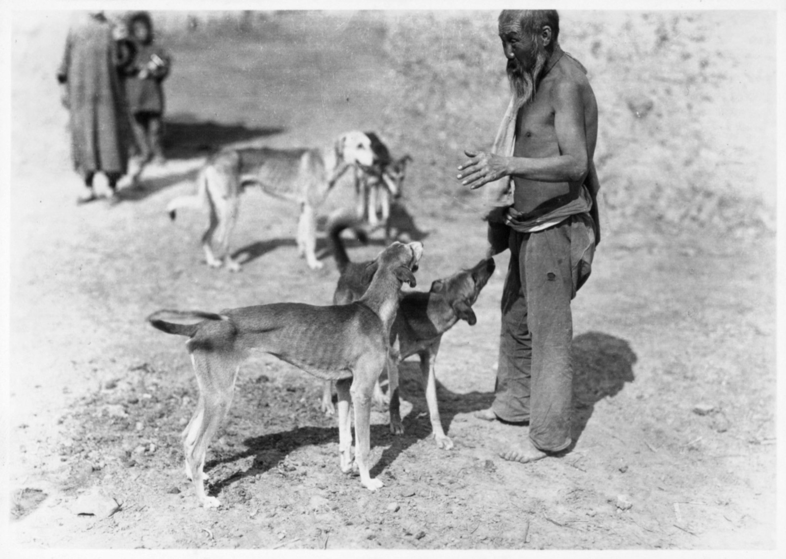 Black-and-white 1927 photograph of a Mongolian herder with several slender dogs